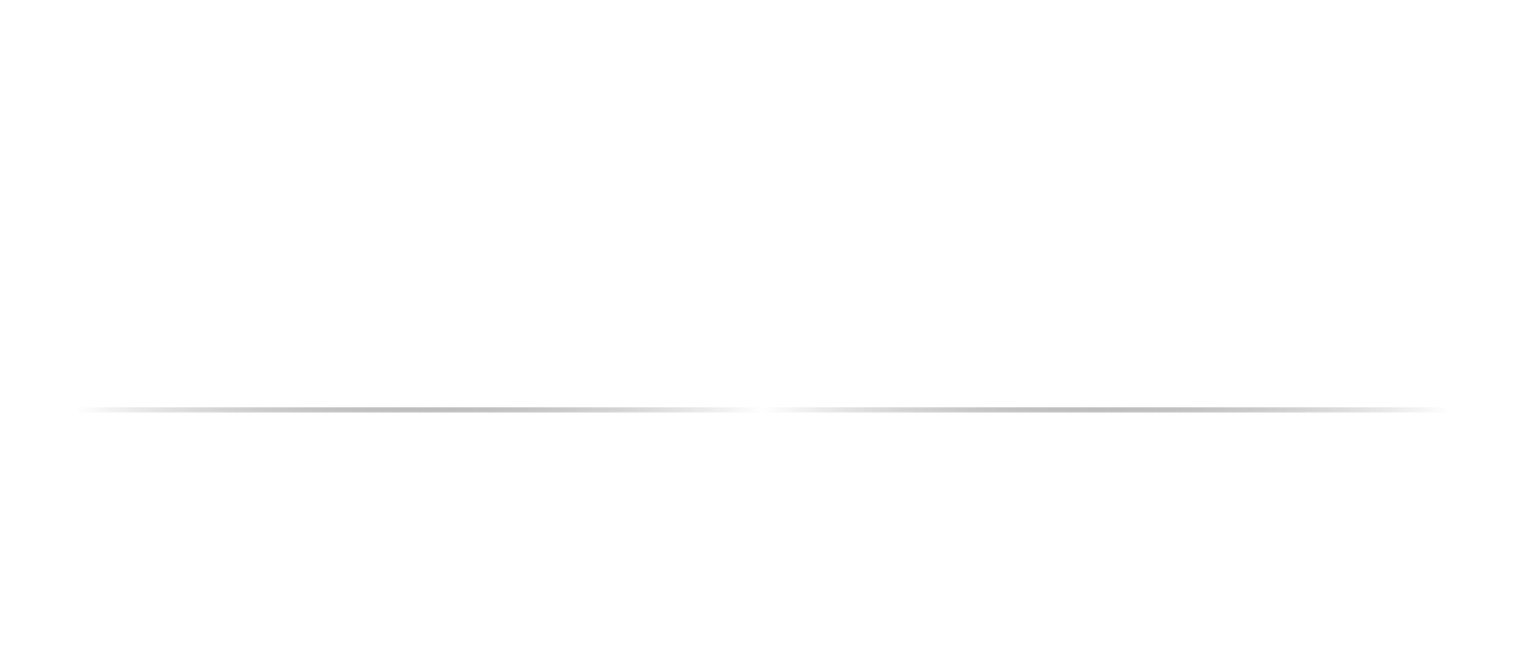 BISCHEL Property Management Logo